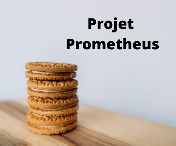 Technologies chauffage ohmique et hautes pressions : projet européen Prometheus