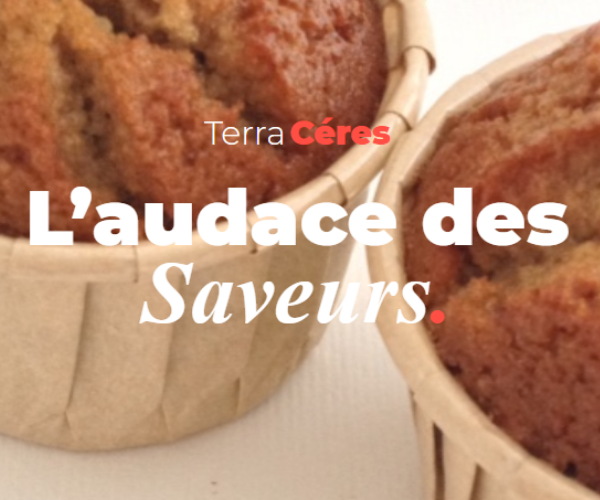 Sécuriser ses recettes des pains et moelleux BIO sans gluten : Terra Cérès témoigne