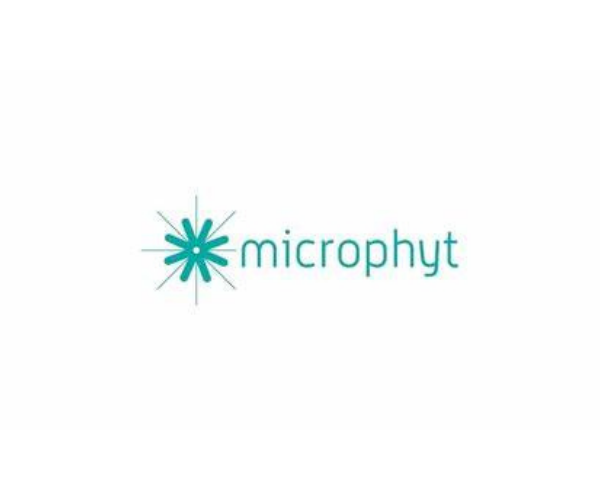 Analyses microalgues : Microphyt témoigne sur l’amélioration de ses procédés