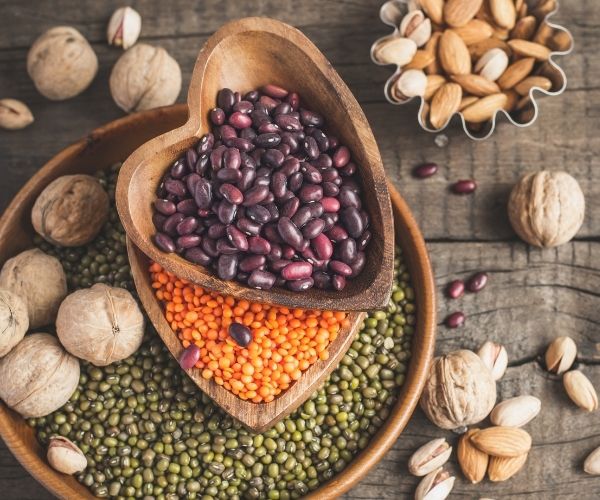 [New training course] Adding value to plant proteins from aperitif to dessert