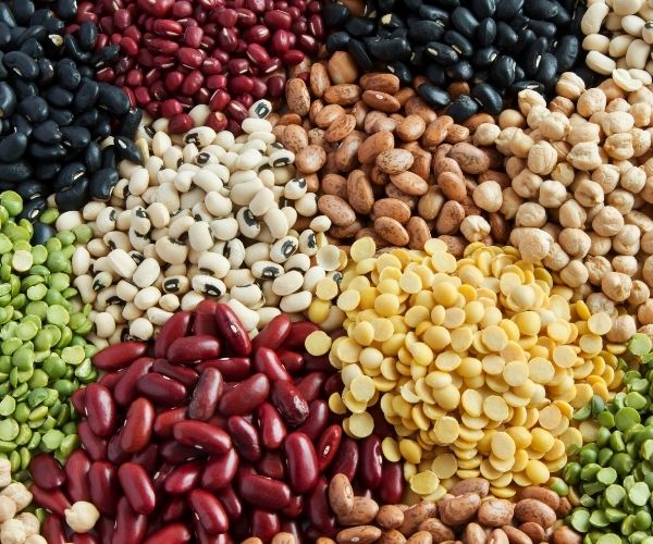 Pulse process (FILEG): techno-functional characterization of legumes in the Occitanie region