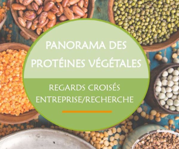 How should plant protein preparation processes be adapted to meet the new expected functionalities?