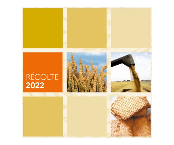 Résultats de l’enquête qualité des blés biscuitiers 2022