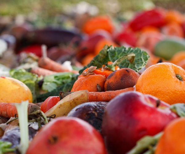 [New training course] Reducing food waste in the agri-food industry