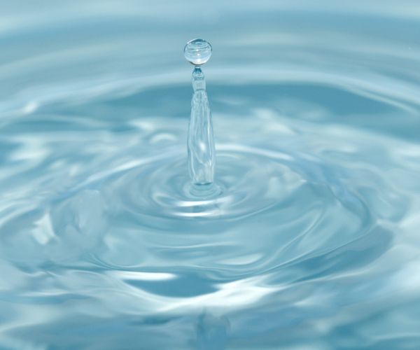 [Webinaire] Raréfaction de la ressource en eau : quels enjeux pour les IAA ? Comment mettre en œuvre son plan de sobriété hydrique ?