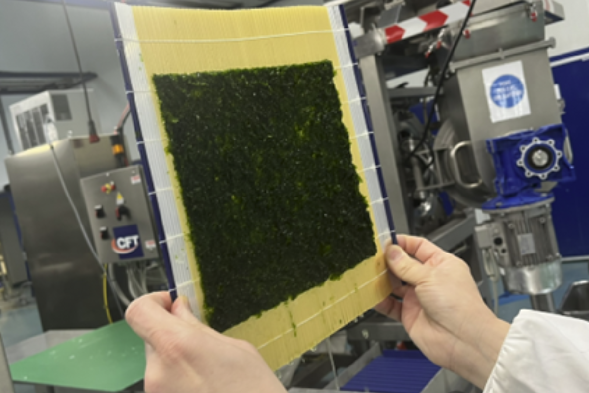 Innovation : Le CTCPA accompagne la start-up SEA4EARTH dans le développement de feuilles d’algues innovantes pour l’industrie alimentaire