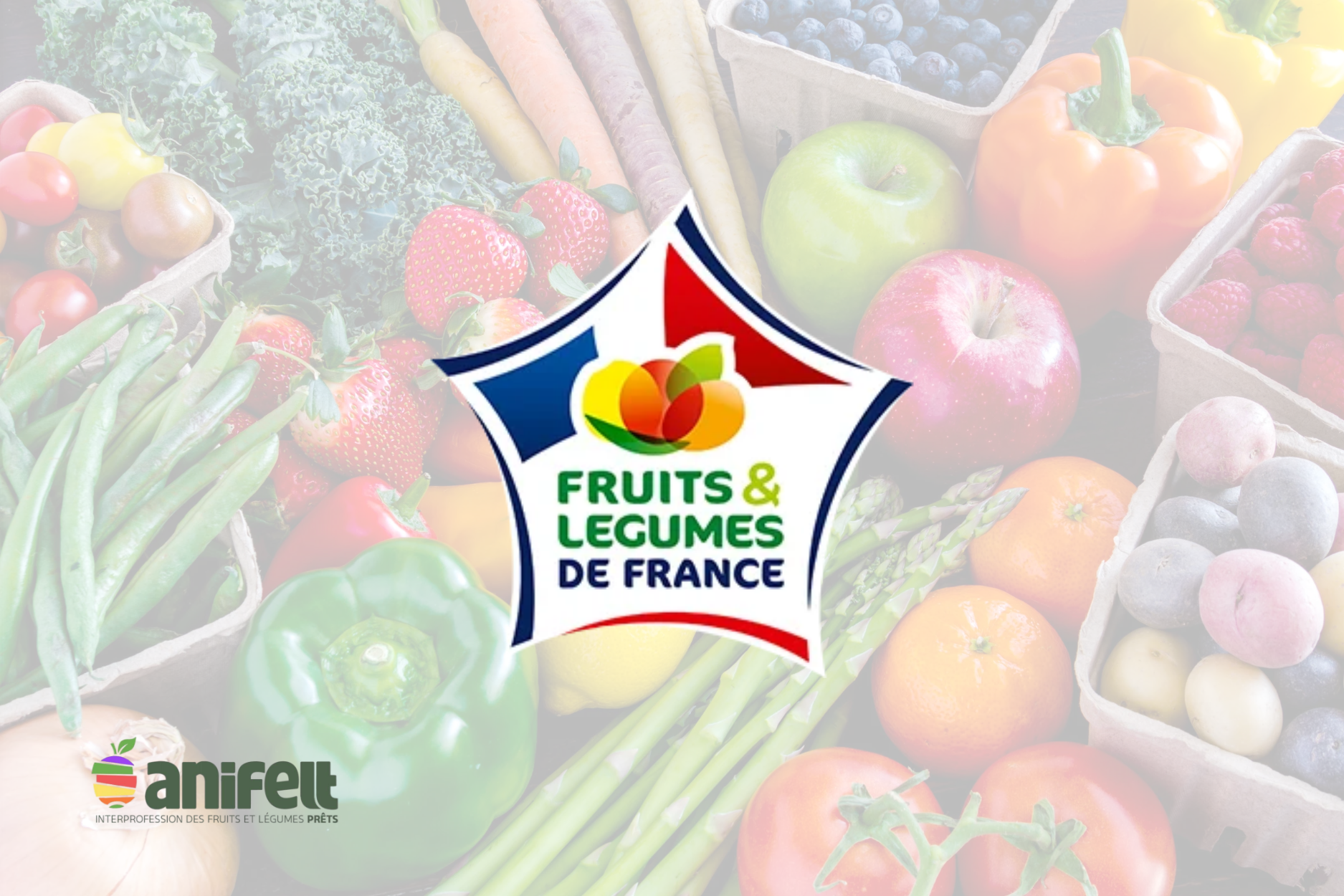 Qualité : Le CTCPA accompagne ANIFELT dans la réalisation de contrôles sur le logo « Fruits et Légumes de France » !